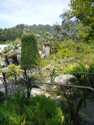 berkley botanic garden